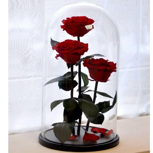 Роза в колбе тройная в подарочной упаковке (красная)