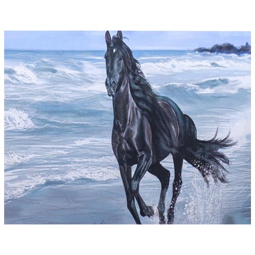 Алмазная живопись "Черная лошадь" 30*40см в картонной коробке
