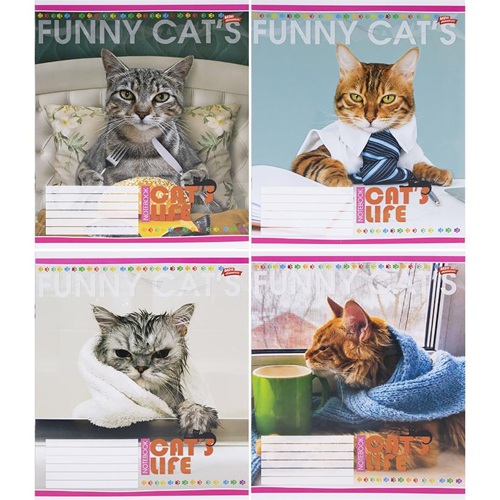 Тетрадь 12л линия "Funny Cats" "Мечты сбываются"