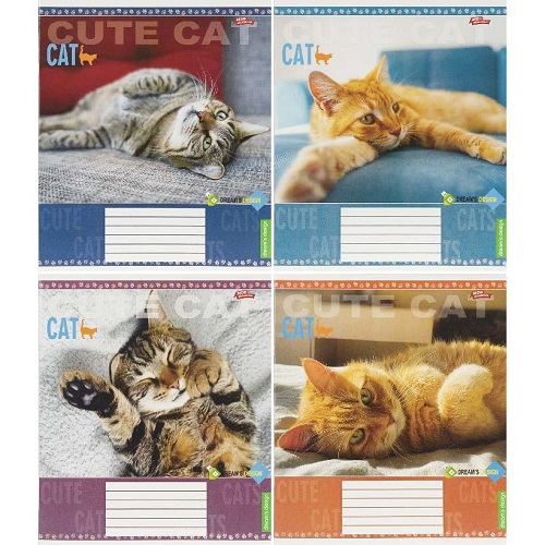 Зошит 36л клітинка "CAT" "Мрії здійснюються"
