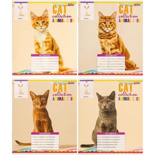 Тетрадь 18л клетка "Cat" "Мрii збуваються" 