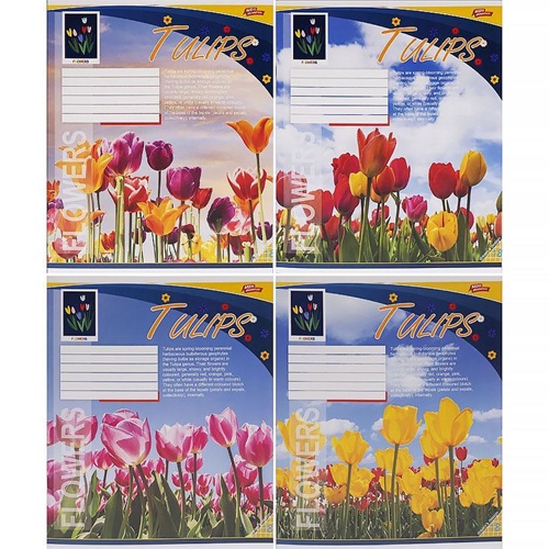 Зошит 24л лінія "Tulips "Мрії здійснюються"