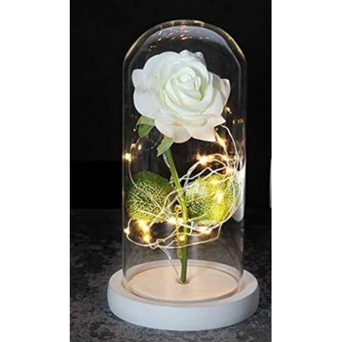 Троянда в колбі біла