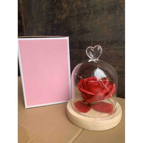 Бутон троянди в колбі