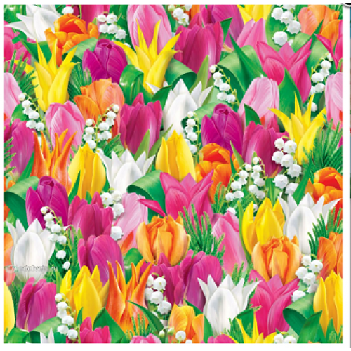 Подарочная бумага В1 (707*1000мм) "Весенняя-тюльпанчики разноцветные"