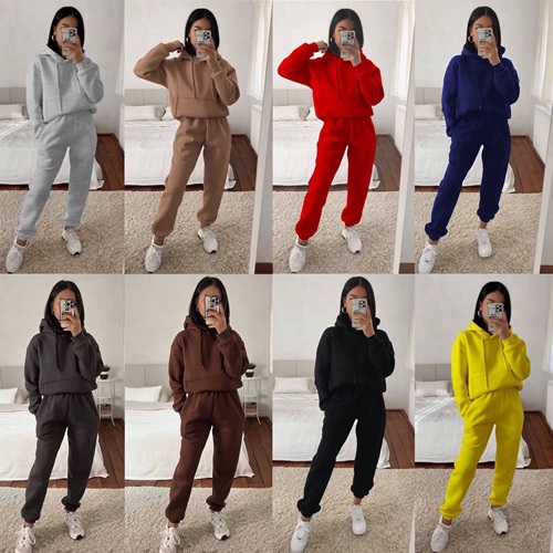 Жіночий костюм демісезонний з двонитки люкс (худі та штани)