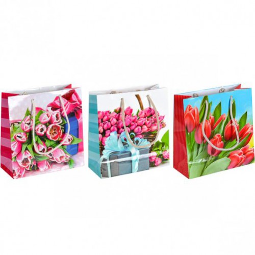 Пакет подарочный цветной «тюльпаны» 16*16*7см