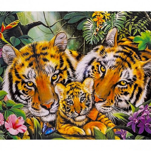 Картина за номерами "Сім'я тигрів" 40*50см